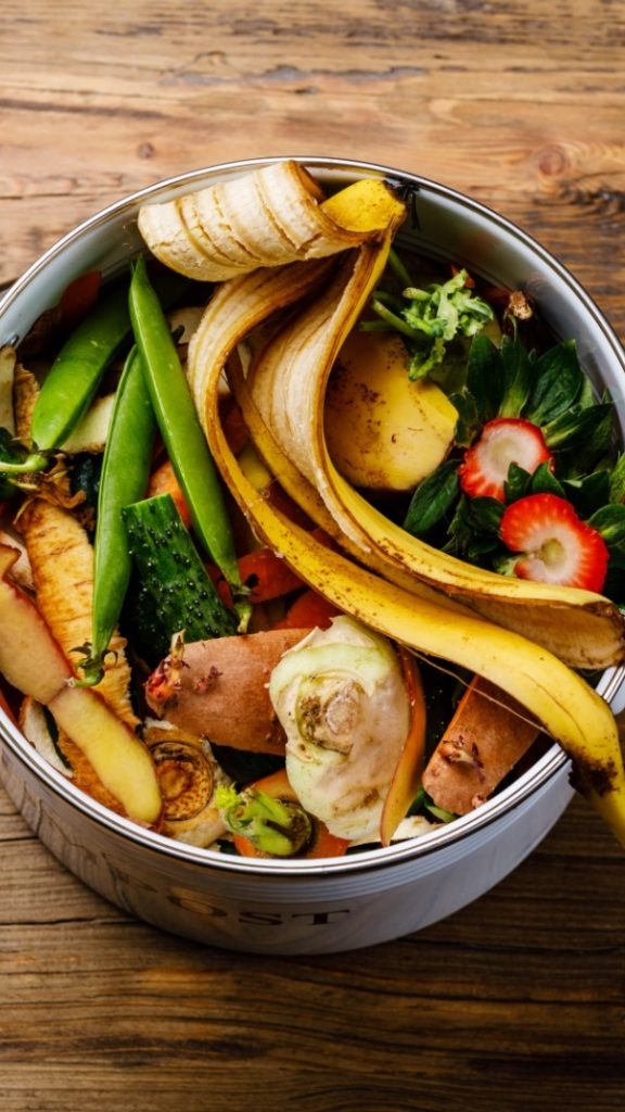 food composter - food waste picture